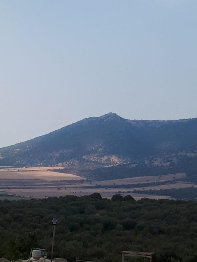 B&B Porta Del Gargano ซานมาร์โกอินลามิส ภายนอก รูปภาพ