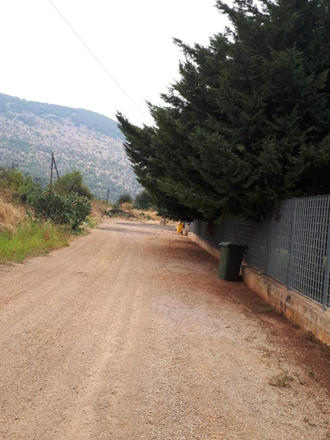 B&B Porta Del Gargano ซานมาร์โกอินลามิส ภายนอก รูปภาพ
