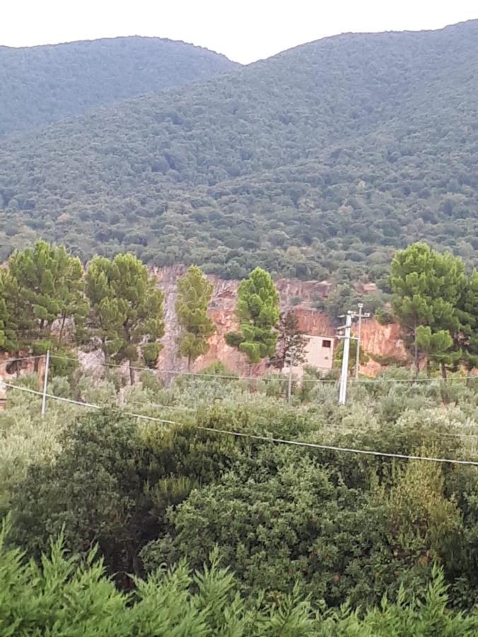B&B Porta Del Gargano ซานมาร์โกอินลามิส ภายนอก รูปภาพ