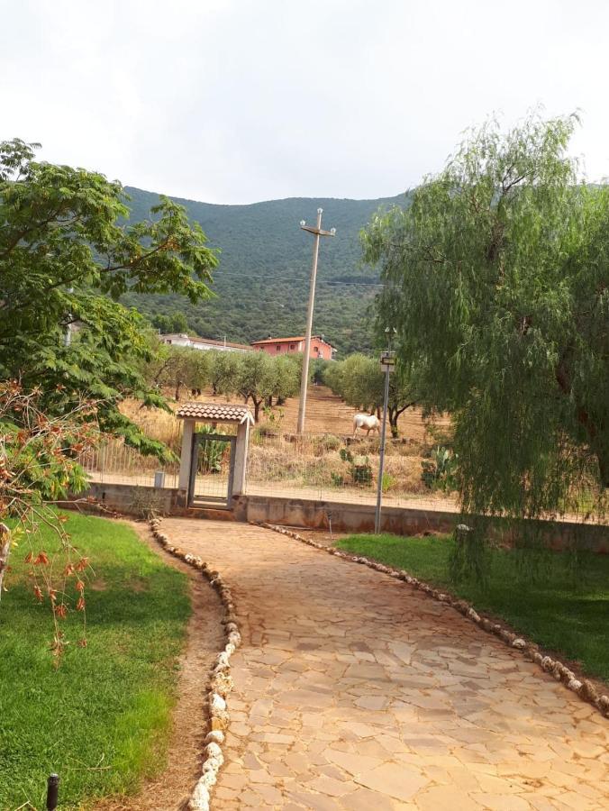 B&B Porta Del Gargano ซานมาร์โกอินลามิส ภายนอก รูปภาพ